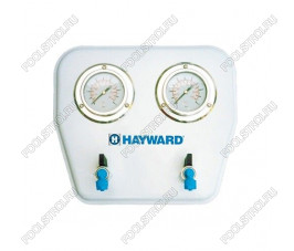 Манометр сдвоенный Hayward MP25.B (210350025000)