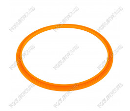 Уплотнительное кольцо AquaViva прожектора LED/UL-P100 2021004